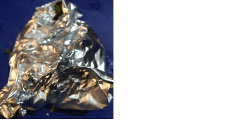 salmon in packet closed.jpg