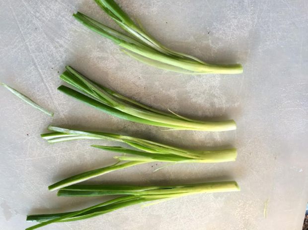 scallion garnish cut -many
