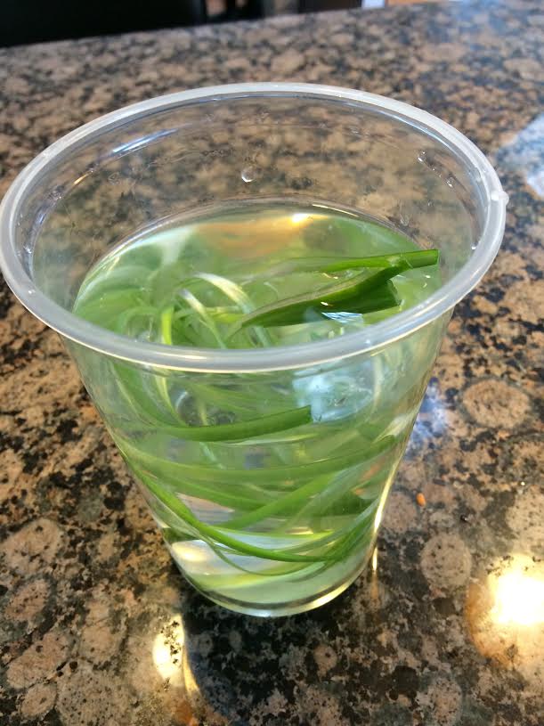 scallion garnish in ice water
