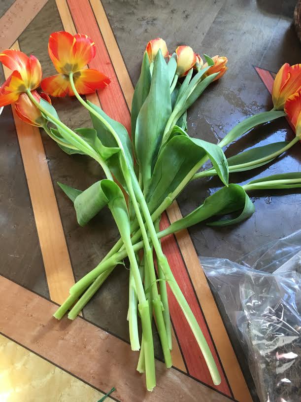 tulips seprated and turned