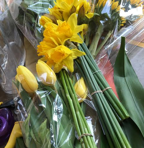 yellow flowers cropped