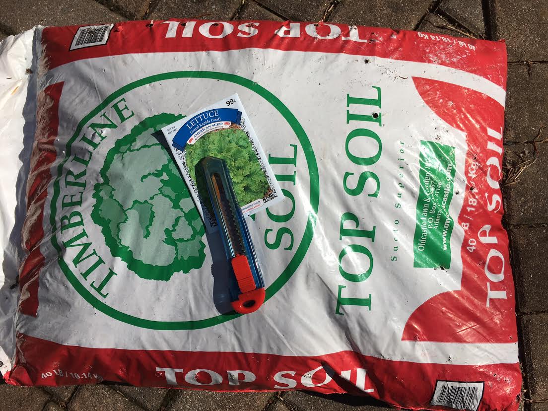 Growing Lettuce in TopSoil Bags