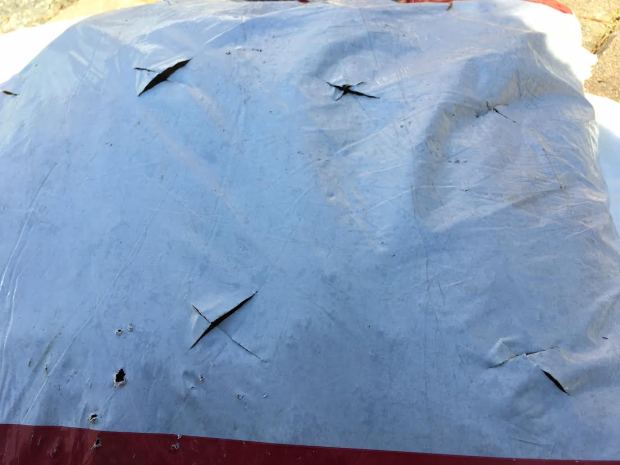 topsoil planters for lettuce with xs cut