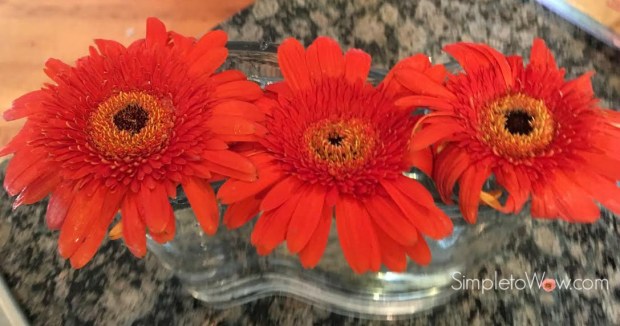 last week's gerber daisies in wave bowl