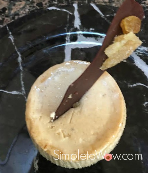 mini cheese cake with chocolate bark only