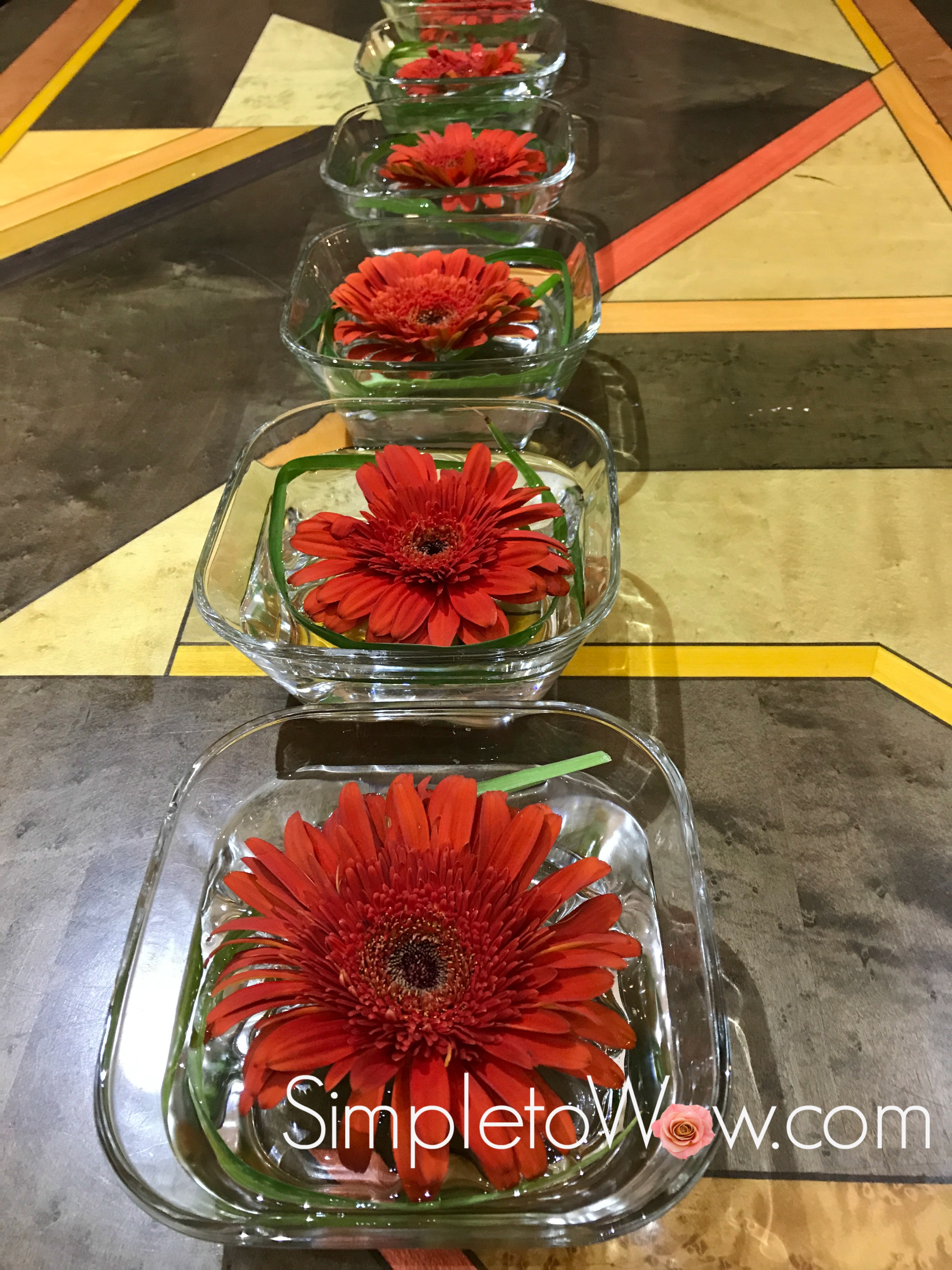 Floating Gerber Daisies in Series
