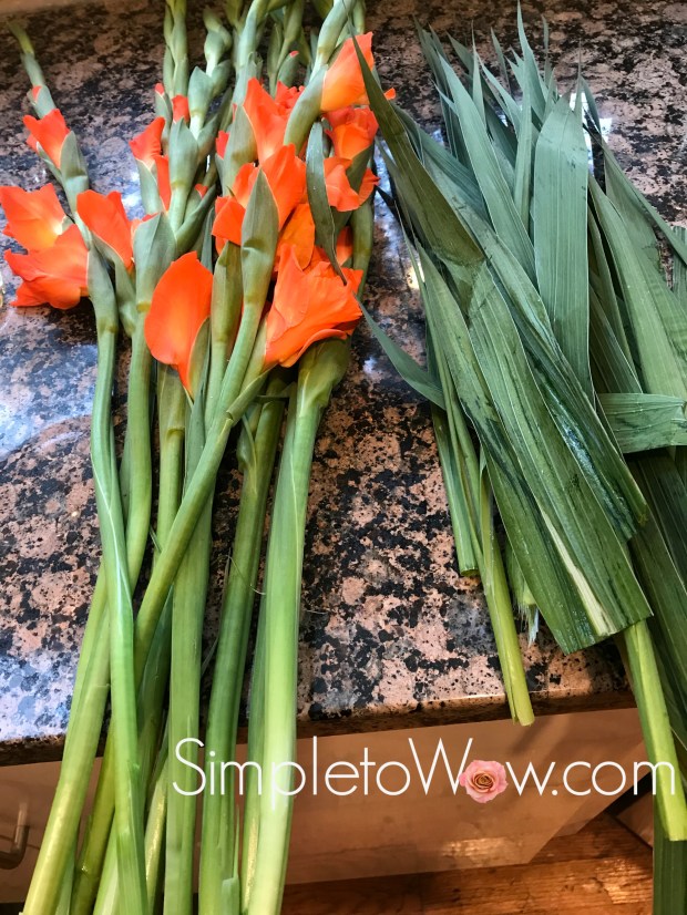 orange gladiolas laid out with leaves removed