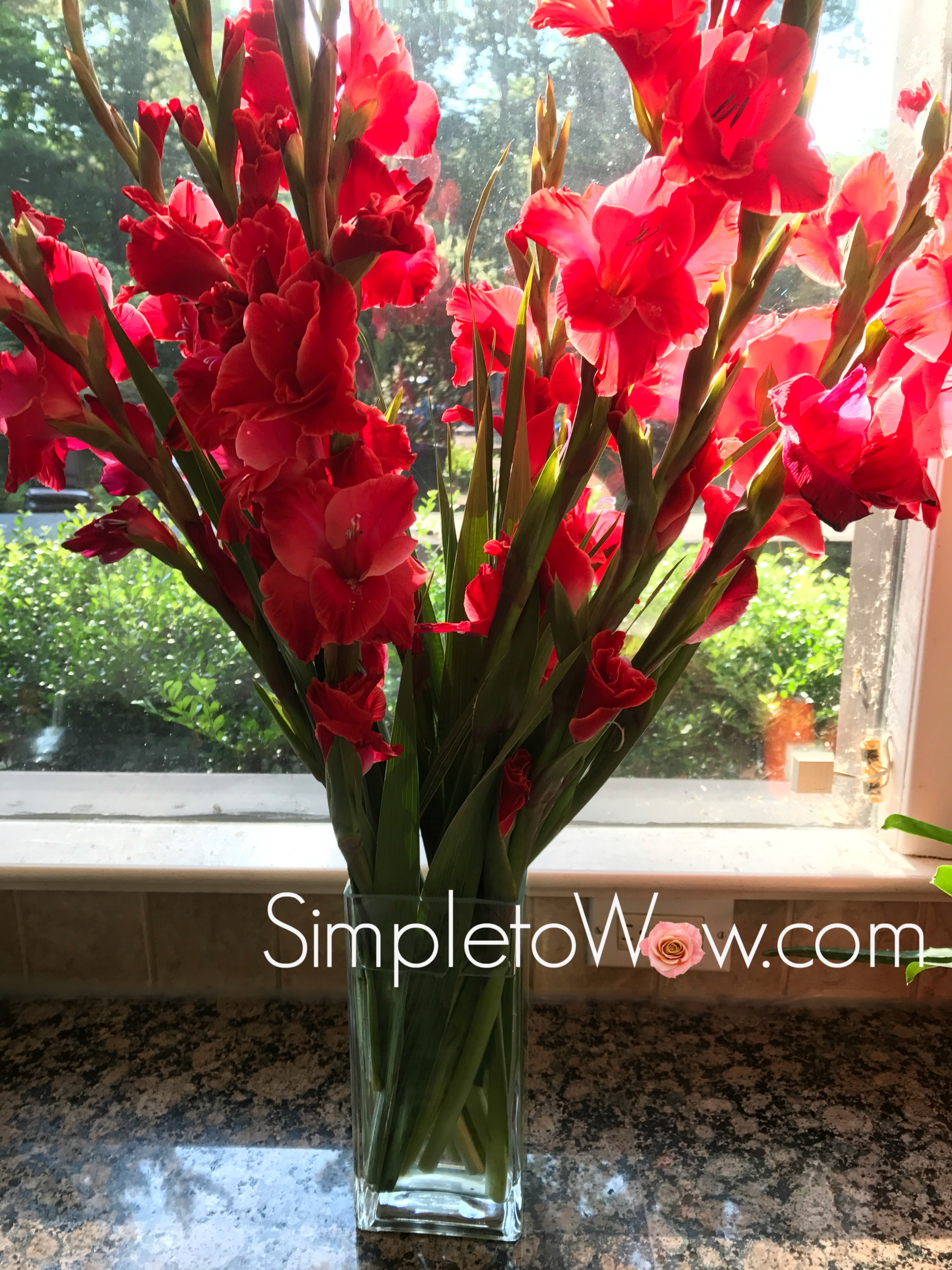 A Simple and Regal Gladiola Arrangement
