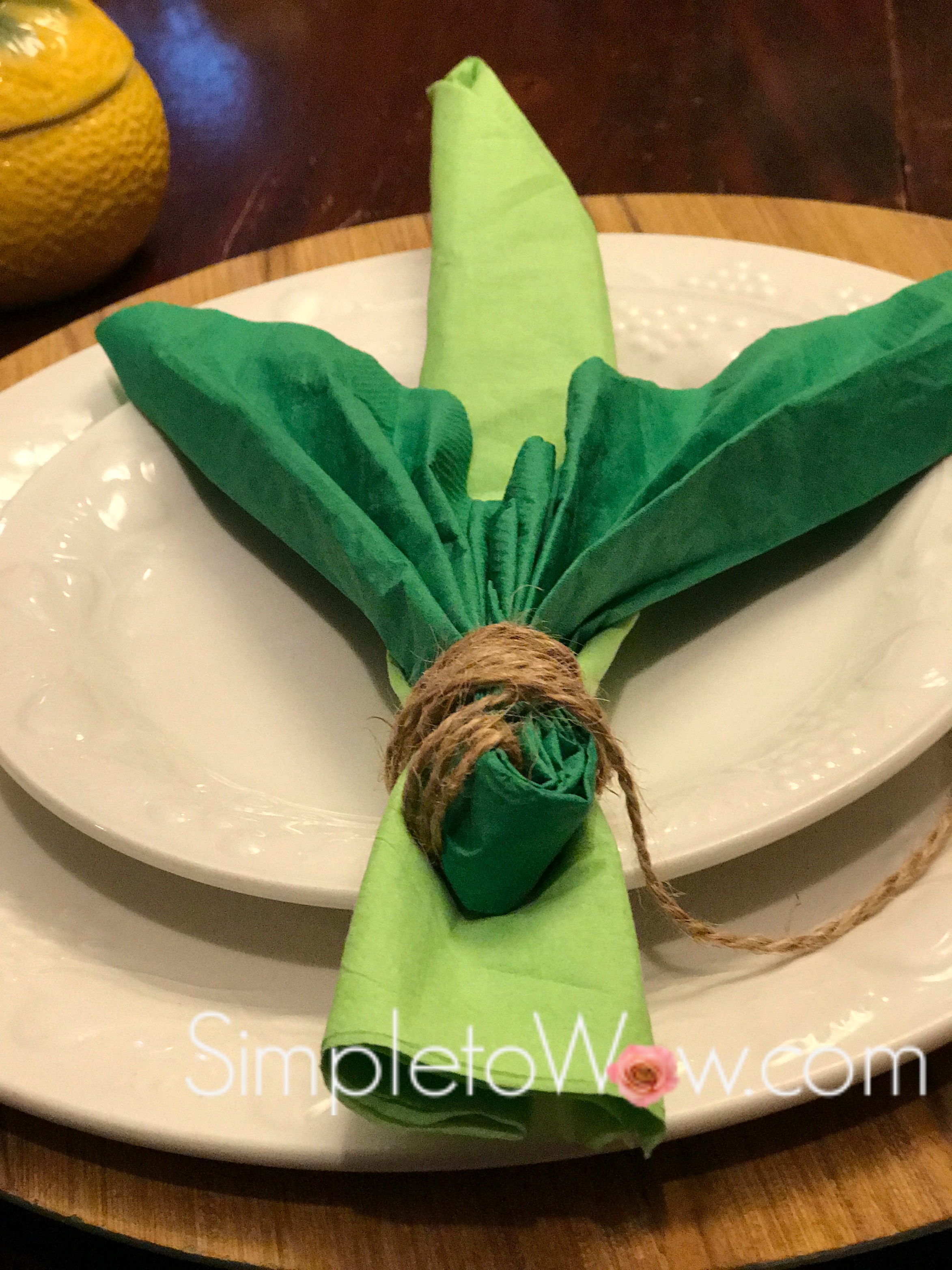 lulav napkin fold on plate.JPG
