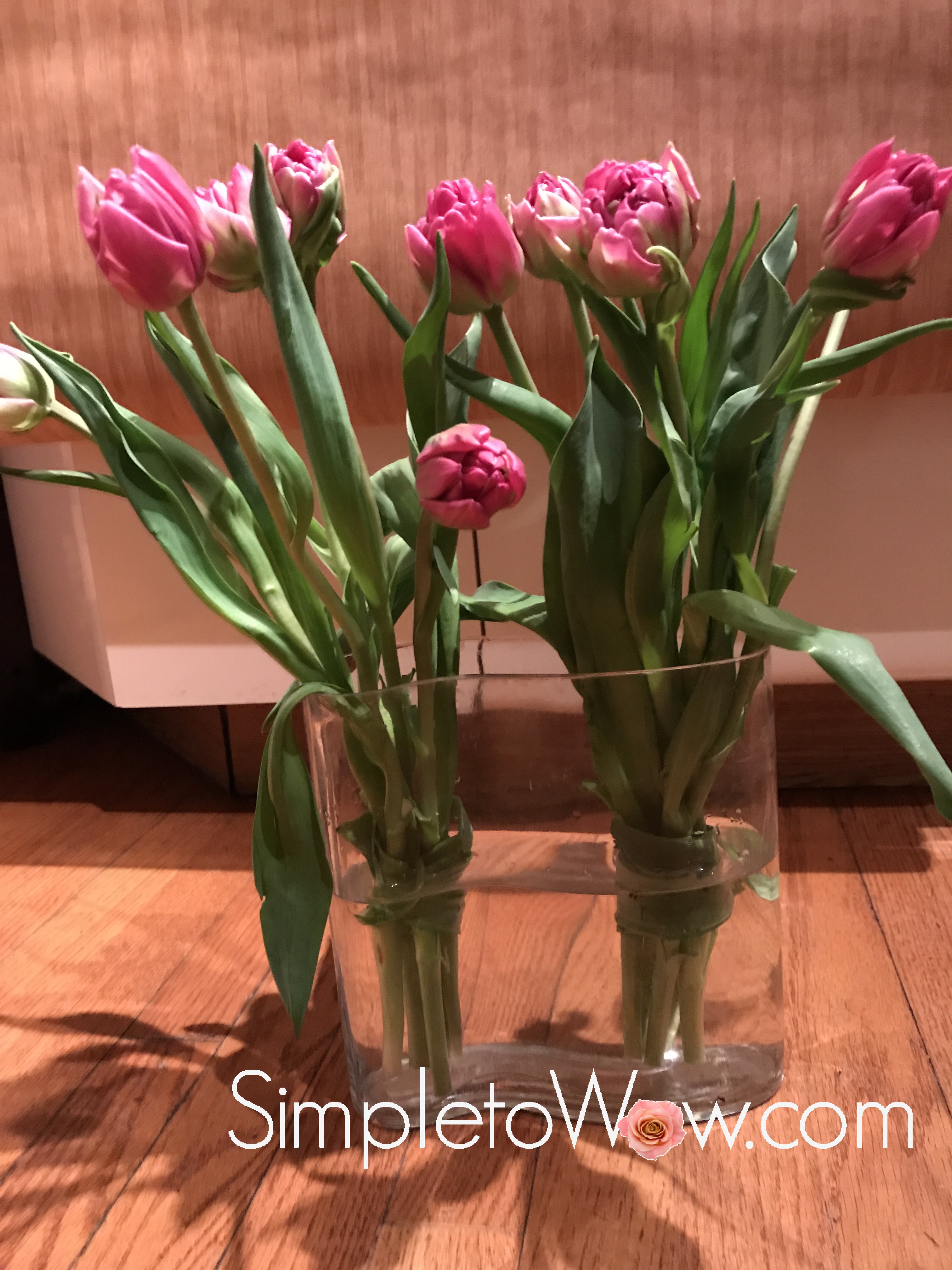 Tulips Times Two